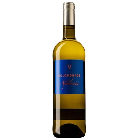 Quinta Apolonia 2024