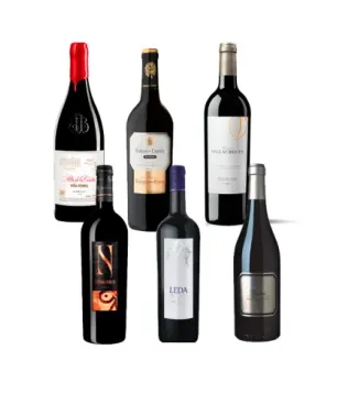 Pack Enológico Campoluz