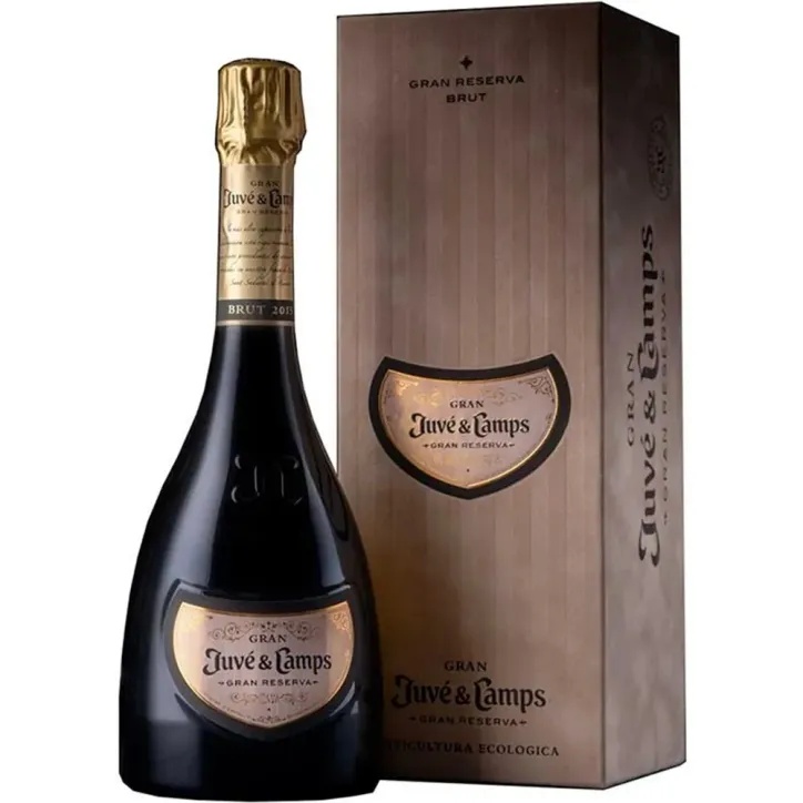 Gran Juvé y Camps 2017
