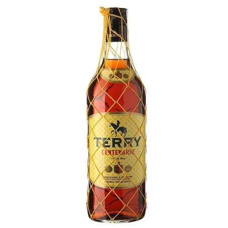 Terry Centenario Botelleon 2L