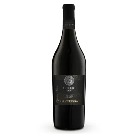 Bottega Collio Pinot Grigio 2021