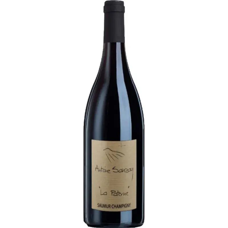 Antoine Sanzay Saumur-Champigny La Paterne 2021