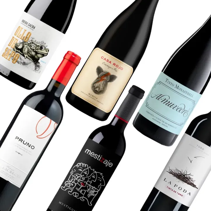 PACK CATA Uvas Tintas de España