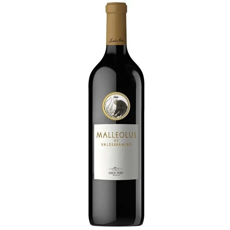 Malleolus Valderramiro 2019
