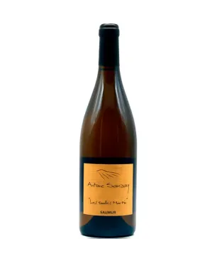 Antoine Sanzay Saumur Salles Martin 2021