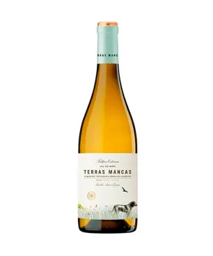 Terras Mancas Val do Miño Blanco 2024