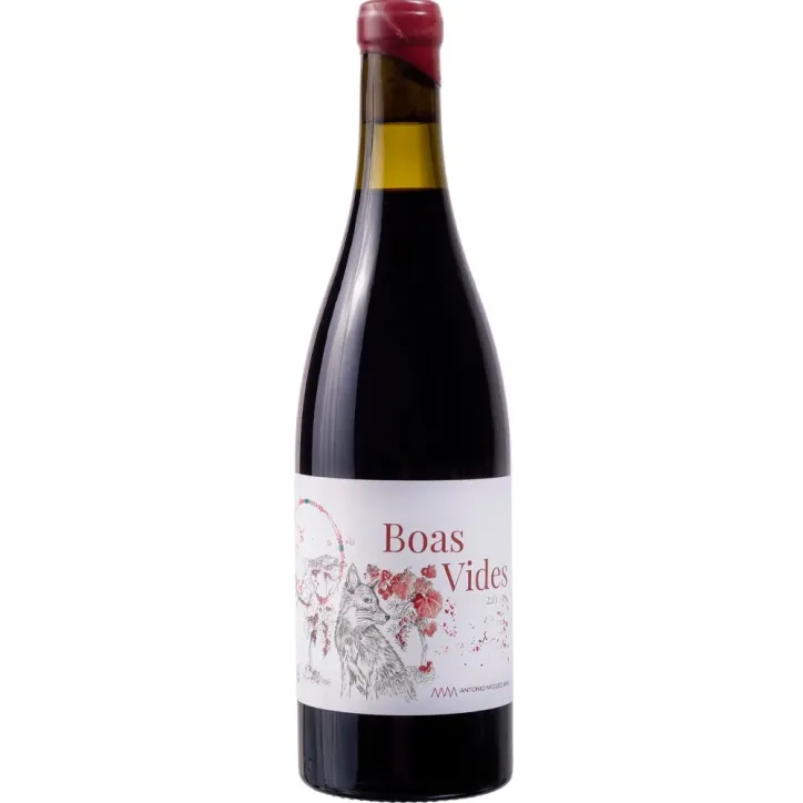 Boas Vides Sobranceiro 2021