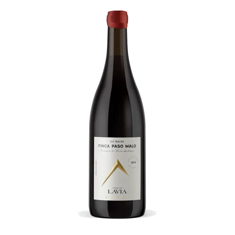 Lavia Finca Paso Malo 2019