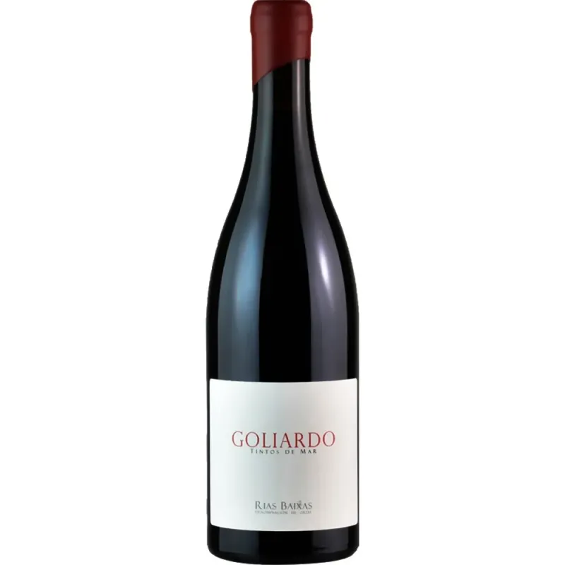 Goliardo Tinto 2020
