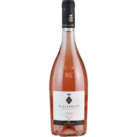 Scalabrone Tenuta Guado al Tasso Antinori 2021