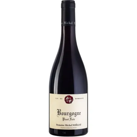 Michel Noellat Bourgogne Pinot Noir 2022