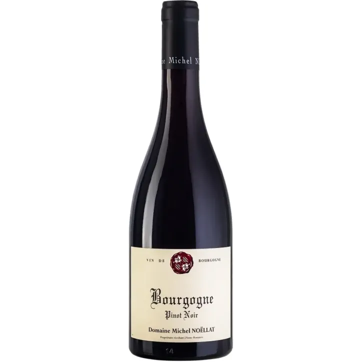 Michel Noellat Bourgogne Pinot Noir 2022