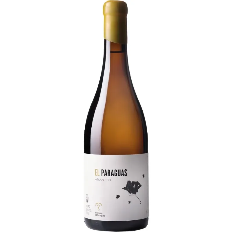 El Paraguas Atlántico 2024