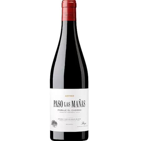 Artuke Paso las Mañas 2020