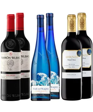 Pack 6 botellas Super Ventas