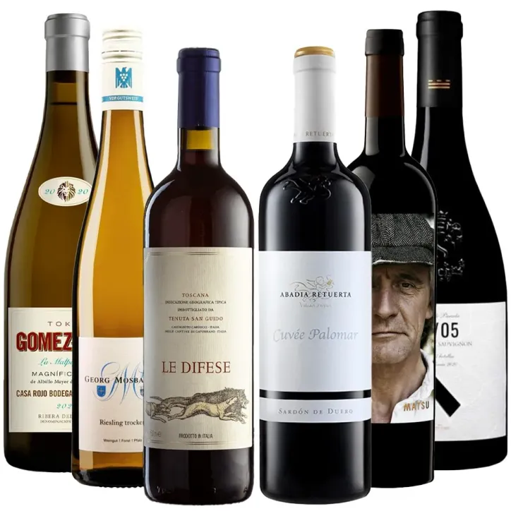 Pack 6 Vinos Bacchus