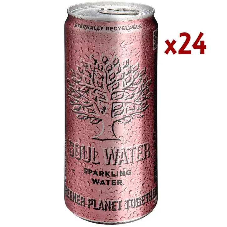 Soul water sparkling 33cl. caja 24unidades