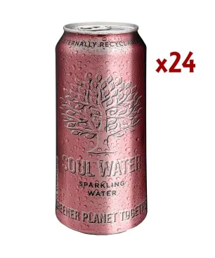 Soul water sparkling 50cl. caja 24unidades