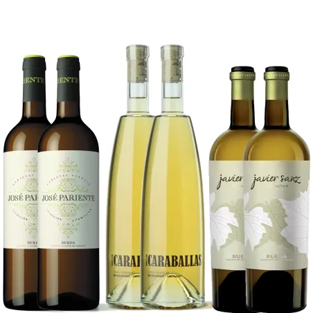 Pack 6 botellas Verdejo