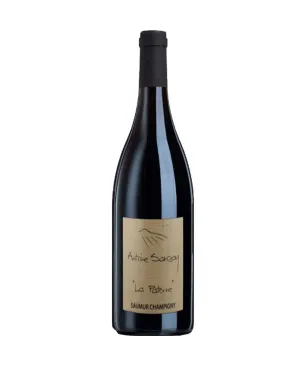 Antoine Sanzay Saumur-Champigny La Paterne 2022 Magnum 150Cl.
