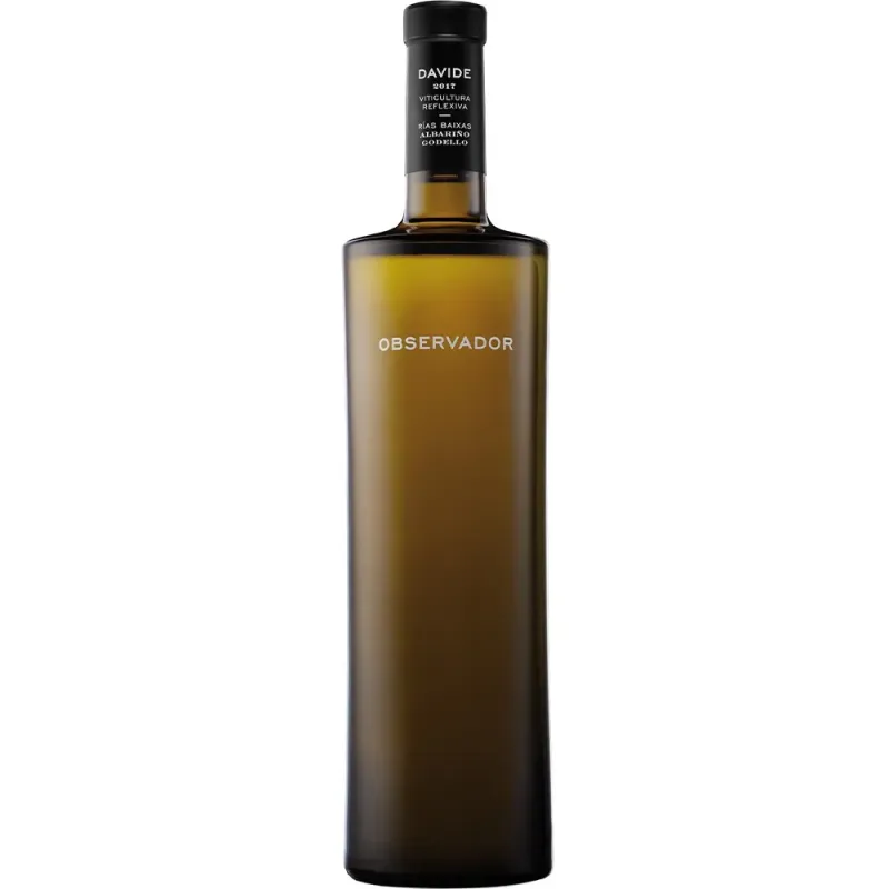 Davide Observador 2023