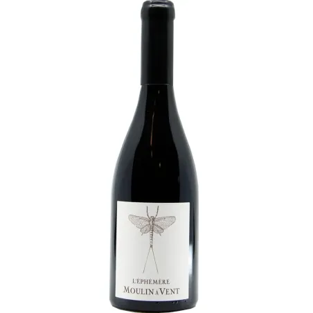 Desjourneys Moulin a Vent L'ephemere 2022
