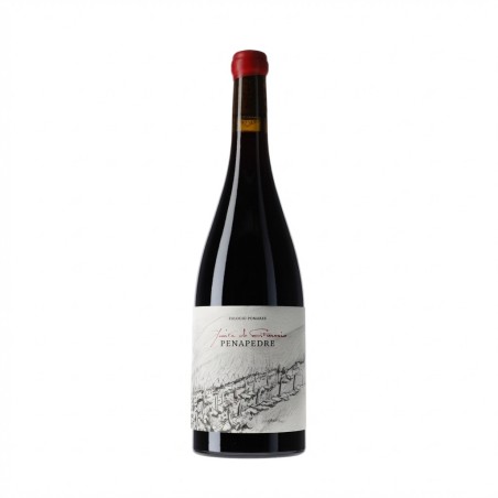 Quinta do Estranxeiro Finca Penapedre 2022