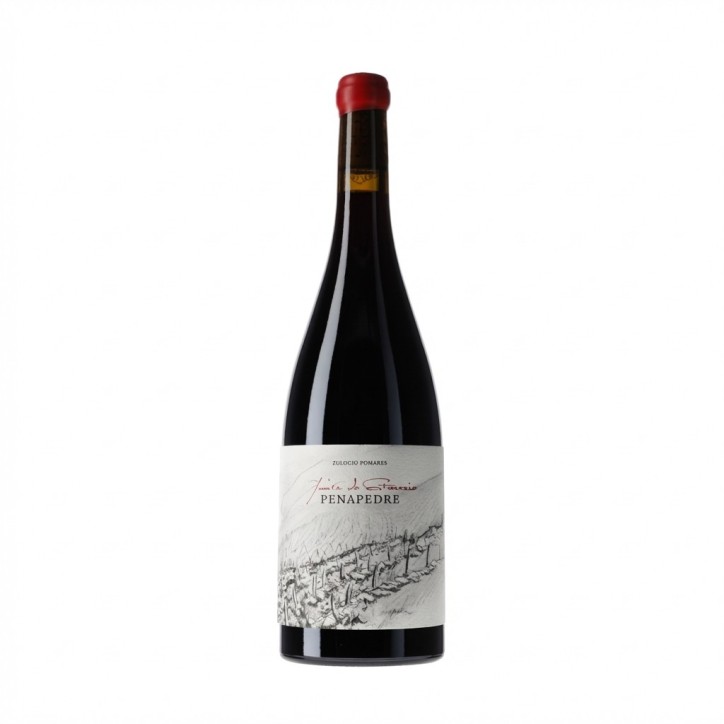 Quinta do Estranxeiro Finca Penapedre 2022