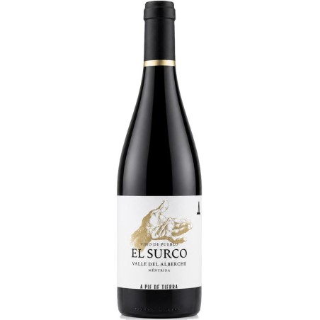 A Pie de Tierra El Surco 2024