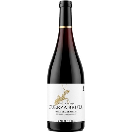 A Pie de Tierra Fuerza Bruta 2024