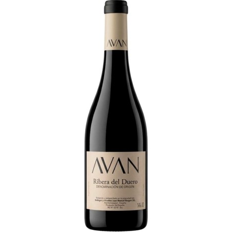 Avan Tinto 2023 Magnum 1.5L