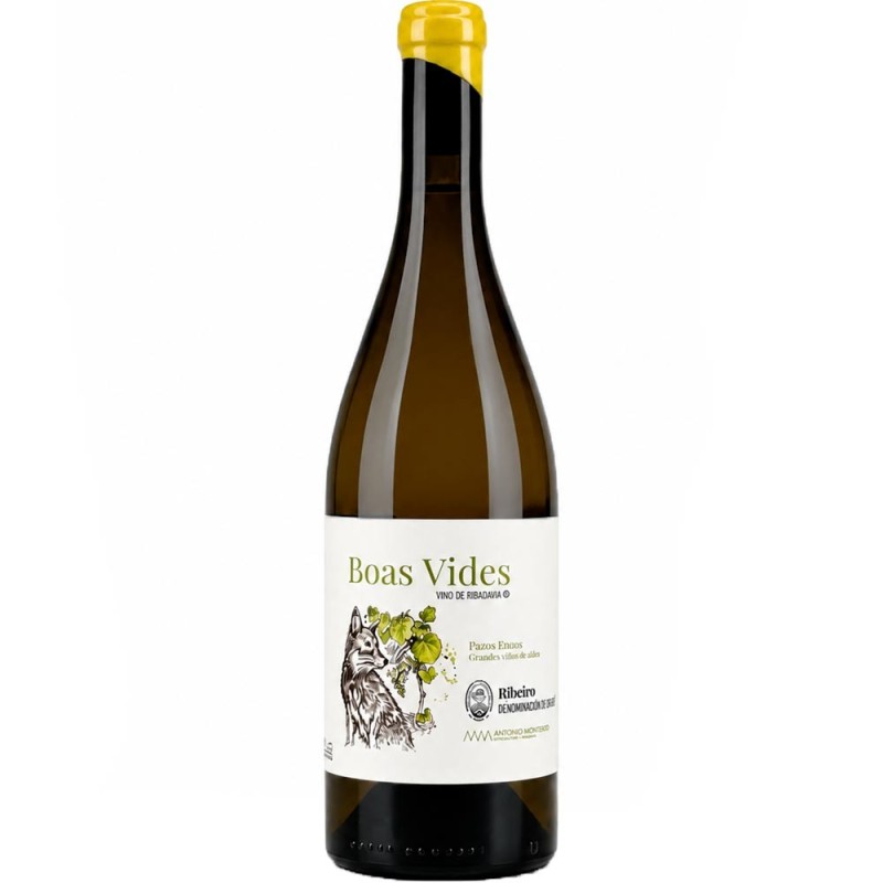 Boas Vides Blanco 2024